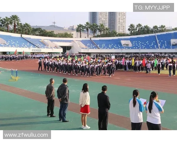 飞盘飞扬北京队如何在极限运动会中实现突破与辉煌